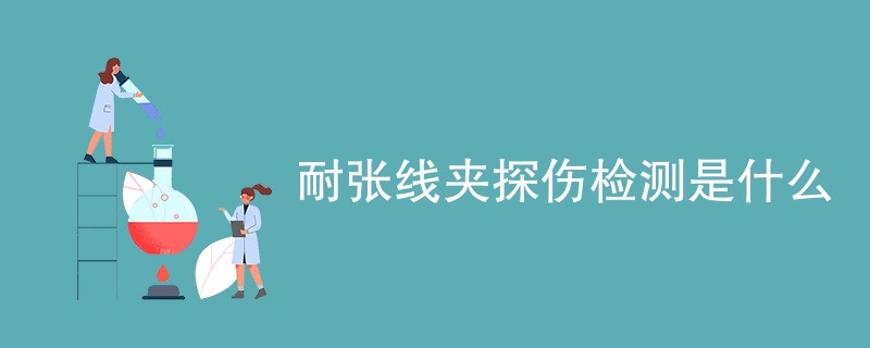 耐张线夹探伤检测是什么